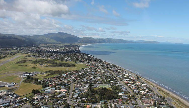 kapiti-chipper-arborist