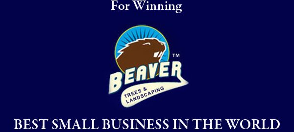 Beaver-Arborist-award
