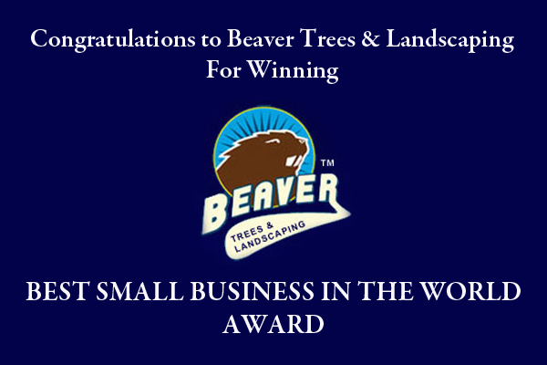 Beaver-Arborist-award