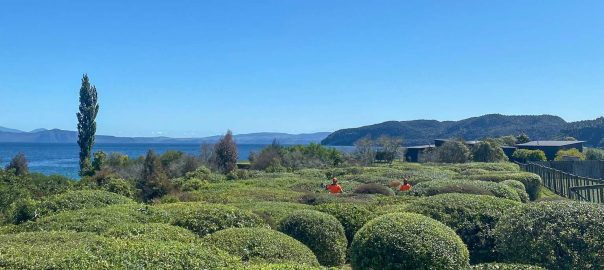 View Restorations & Reductions Taupo