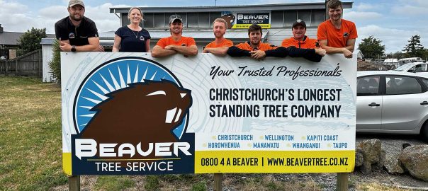 Beaver Trees Christchurch