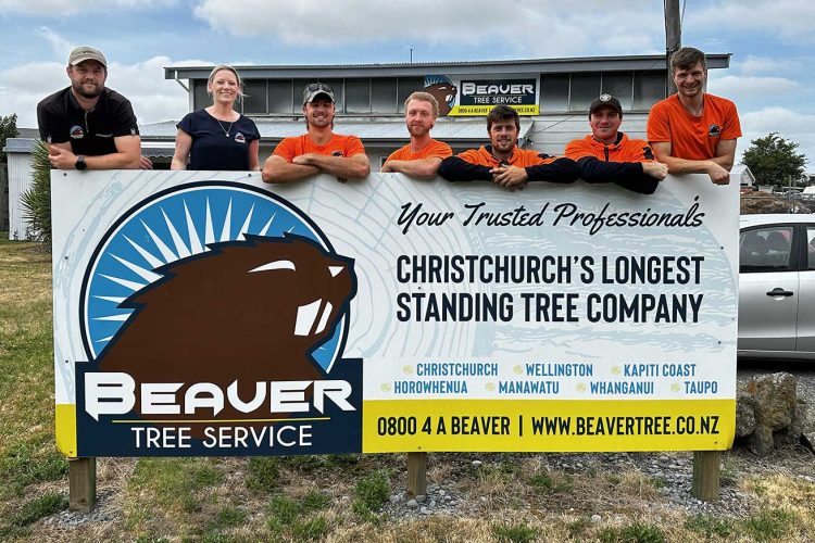 Beaver Trees Christchurch