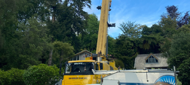 Wellington tree care