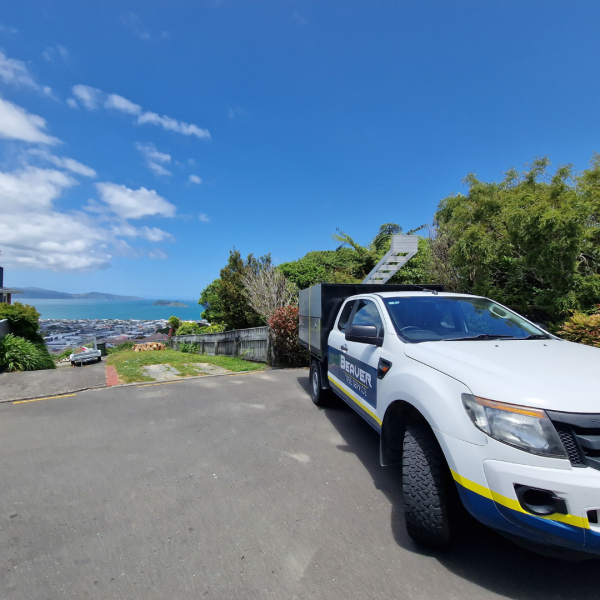 What Factors Affect the Cost of Tree Removal in NZ