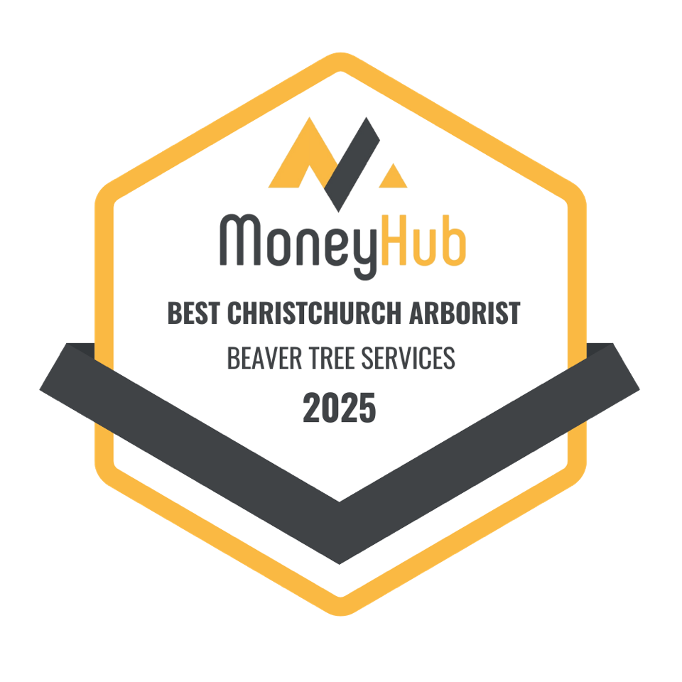 Best Christchurch Arborist Icon
