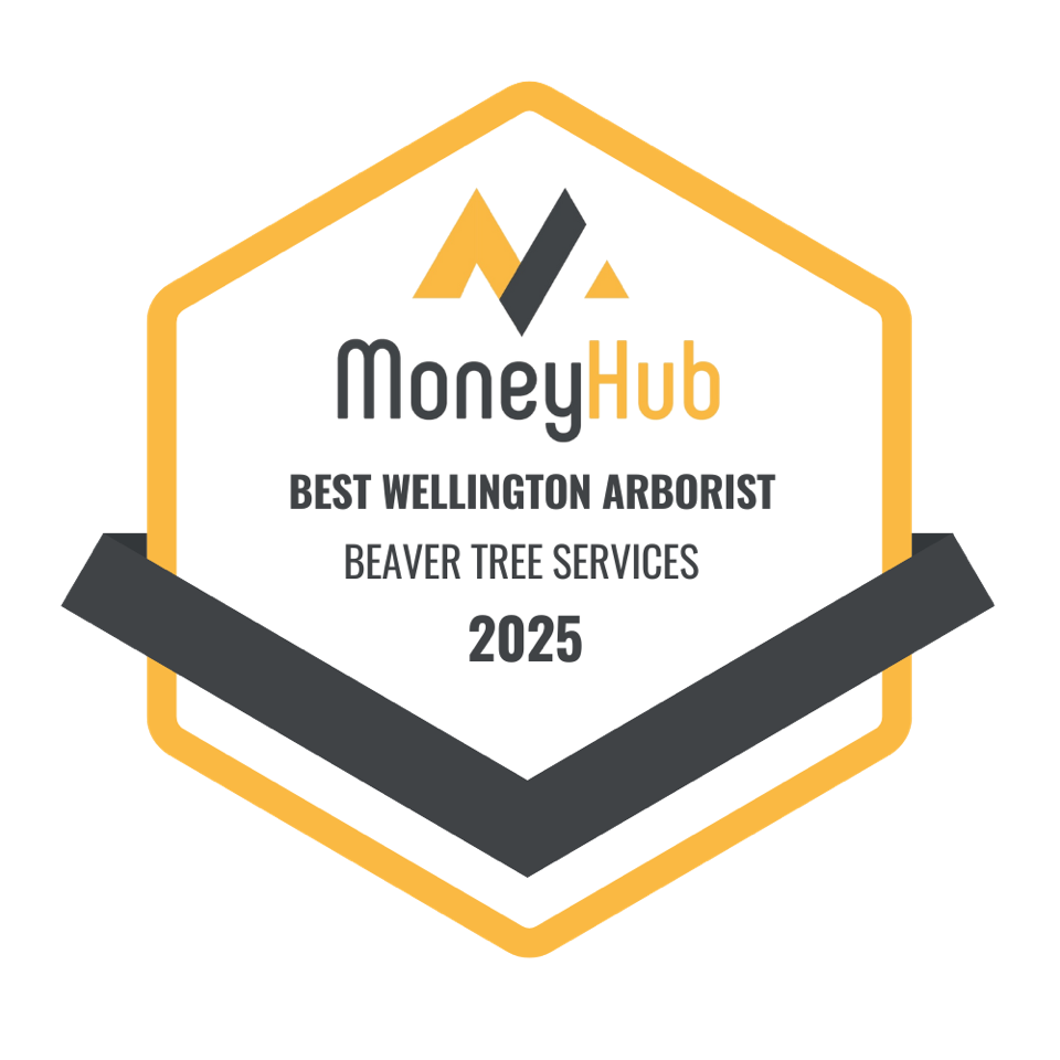 Best Wellington Arborist Icon